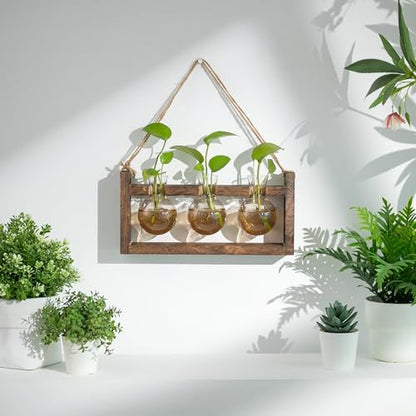 Wall Plant Propagation Station with Wooden Stand, Gradient Brown
