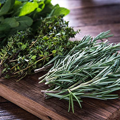 Mountain Valley Seed Co Culinary Indoor Herb Garden Starter Kit Deluxe - size: Deluxe