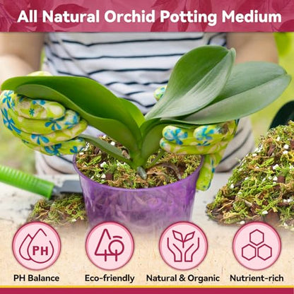 Riare 1QT Orchid Potting Mix for Repotting, Pre-Mixed & Ready-to-Use - size: 1 Quart