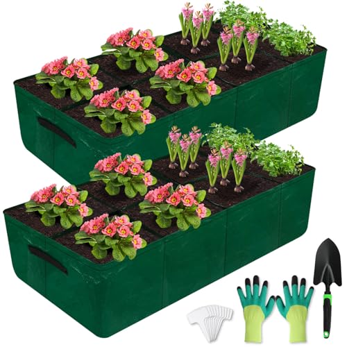 Caffox 2 Pack Fabric Raised Garden Bed, 4x2x0.8ft Plant Grow Bags for Flowers and Vegetables, 94 Gallon