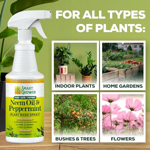 Neem Oil Spray for Plants with Peppermint Oil. Indoor & Outdoor Plant Use - size: 16 Fl Oz
