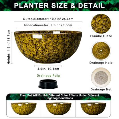 Succulent Pots, 10 Inch Ceramic Bonsai Pots, Yellow Leopard - color: Yellow Leopard-1, size: 10 Inch