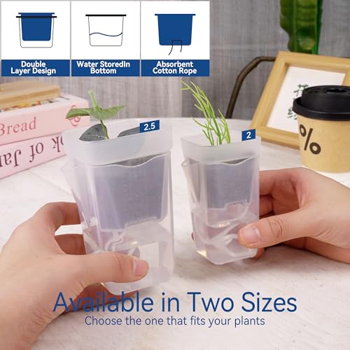 16 Pack 2" Mini Self Watering Pots Clear Deep Square Planters - size: 2"