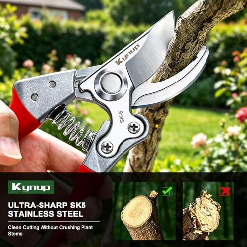 Kynup 2Packs Pruning Shears for Gardening, Garden Shears Scissors Heavy Duty, Bypass Pruner Hand Shears, Tree Trimmers Secateurs, Garden Clippers for Plants, Hedge Shears, Garden Tools (Red) - style: Modern 2Pack Red