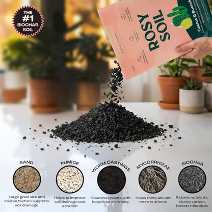 Rosy Soil Cactus & Succulent Potting Mix, 4 Quarts - color: Cactus & Succulent, size: 4 Quarts