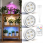 3 Pack Rechargeable Grow Light for Indoor Plants, Cordless Plant Lights