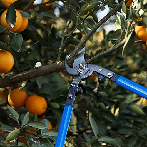 Jacto Tree Trimmer - 23in Bypass Loppers Heavy Duty Loppers for Thick Branches Up to 1.2in for Branch and Limb Cutting