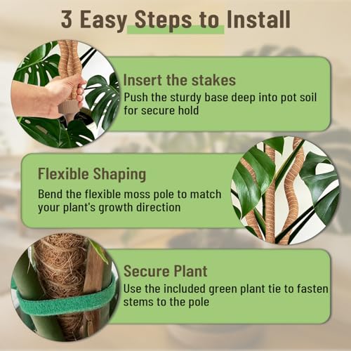3-in-1 Moss Pole, Bendable 30IN Monstera Plant Support for Indoor-1 Pack - size: 30IN-1PACK