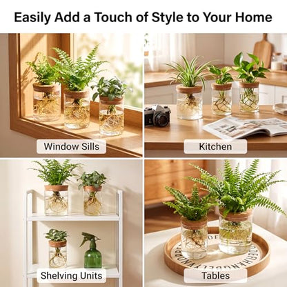 6Pcs 3 Size Glass Plant Propagation Stations, Desktop Flower Vases