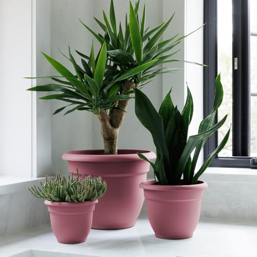 Bloem Ariana 8" Plastic Self-Watering Planter, Dusty Rose, 4-Pack - color: Dusty Rose, size: 8" (Pack of 4)