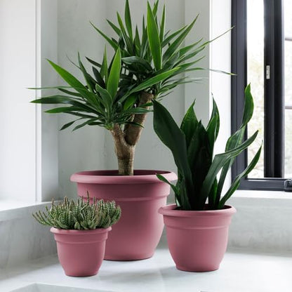 Bloem Ariana 6" Plastic Self-Watering Planter, Dusty Rose, 4-Pack - color: Dusty Rose, size: 6" (Pack of 4)