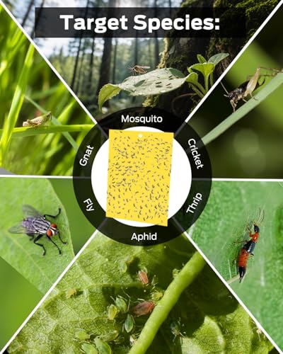 Gnat Sticky Traps for Plants -25 PCS + Kids Gardening Gloves - color: Color D-25PCS