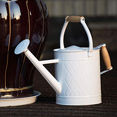 1 Gallon White Metal Watering Can with Wooden Handles - color: White, size: 1 Gallon