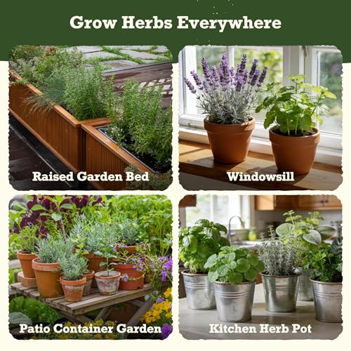 Lush&Dew Holistic Family Apothecary Seed Chest, 30000+ Medicinal Herb Seeds - style: Holistic Family Herbs