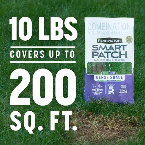 Pennington Smart Patch Dense Shade Grass Seeds for Lawn, 10 lb - size: 10 LB