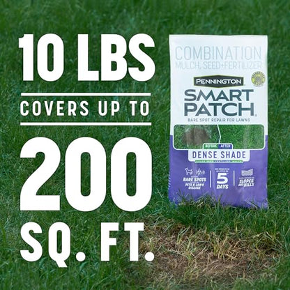 Pennington Smart Patch Dense Shade Grass Seeds for Lawn, 10 lb - size: 10 LB