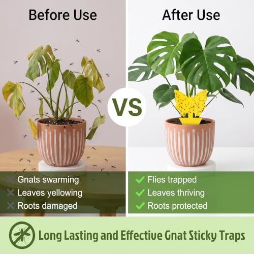 96 Pack Yellow Sticky Fungus Gnat Traps for House Indoor & Outdoor Plants - size: 96 Packs