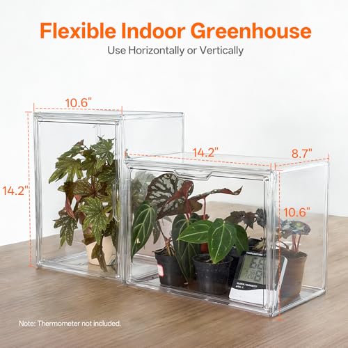 Bstrip Small Tabletop Greenhouse with Grow Light, Indoor Seed Starter Kit
