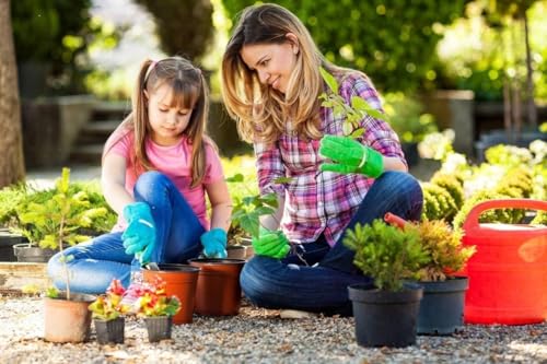 100 PCS Plastic Nursery Pots 6 Inch - style: 6 Inch