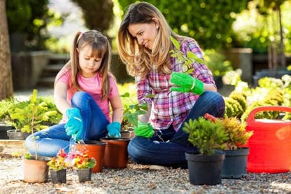 100 PCS Plastic Nursery Pots 6 Inch - style: 6 Inch
