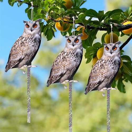 Owl to Keep Pigeons Away, 3 Pack Fake Owls, Pigeon Scare - color: Amazed Eagle 3pc