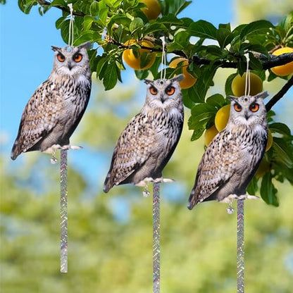 Owl to Keep Pigeons Away, 3 Pack Fake Owls, Pigeon Scare - color: Amazed Eagle 3pc