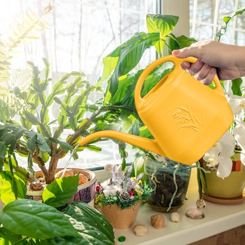 Watering Can - for Home Plant Garden - 1 Gallon - Orange - color: Orange
