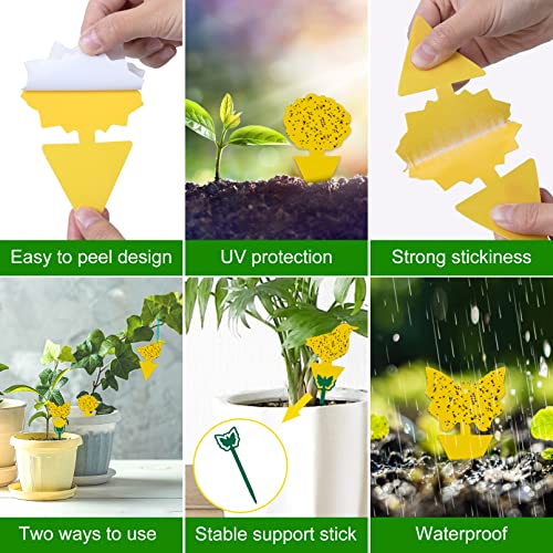 Yellow Sticky Fruit Fly Trap 54 Pack, Gnat Traps for Indoor House Plants - size: 54 Packs