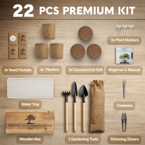 Bonsai Tree Kit Classic - Growing 3 Unique Japanese Bonzai Trees - size: Small 10"