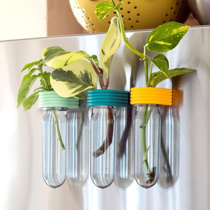 Propagation Station Wall Hanging Terrarium Upcycled 3D Printed Eco Friendly Unique Plant Lover Gift (Mango) - color: Mango