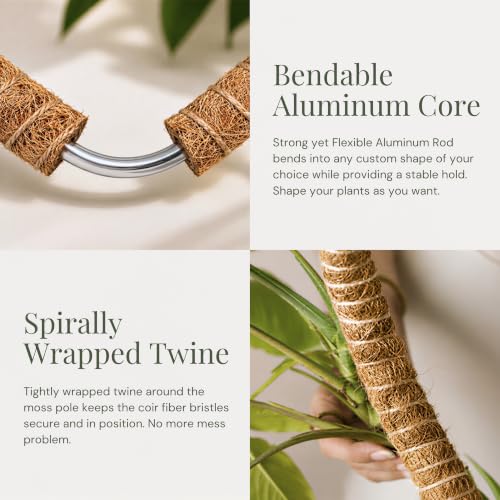 2 Pack 63" Moss Pole for Plants – Moss Pole Monstera Plant Support - size: 2-Pack (63'')