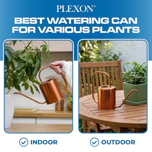 Plexon Rose Gold Metal Watering Can Indoor Plants, 54 oz Stainless Steel Long Spout Watering Can Outdoor House Plant Flower, Garden - color: Rose Gold, 54 Oz
