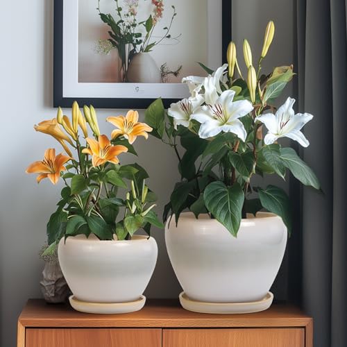 Ceramic Flower Pots, 10+8+6 Inch Ceramic Planters, White-Grey - color: White-grey