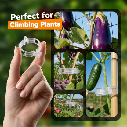 LOOHOI 100Pcs Tomato Clips for Climbing Plants Trellis Plant Support Clips - color: Translucent