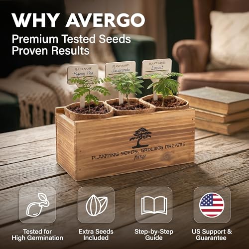 Bonsai Tree Kit Classic - Growing 3 Unique Japanese Bonzai Trees - size: Small 10"