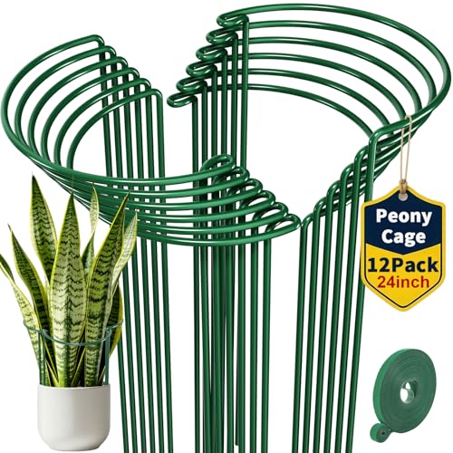 AMAGABELI 12 Pack 24 Inch Plant Support Stakes Peony Cage Heavy Duty Ring Metal Garden Support Structures Plant Cage with Ties for Indoor Flower Outdoor Tomato Hydrangea Monstera - color: 12-Pack, size: 10" W x 24" H