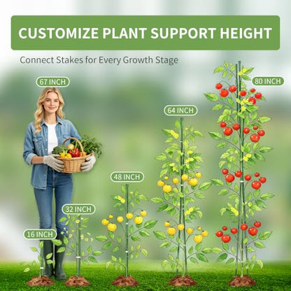 PROWORX Garden Plant Stakes, 16 Inch 70 Pack DIY 4ft 5ft 6ft Tomato Stakes - size: 16 Inch 70 Pack