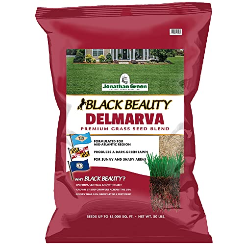Jonathan Green Black Beauty Delmarva Grass Seed - 50 lb - size: 50 lb