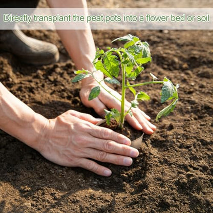 60PCS 4-Inch Biodegradable Peat Pots with Drainage Holes for Seedlings, Includes 20 Plant Labels, Perfect for Garden Germination & Nursery Use - size: 4 Inch
