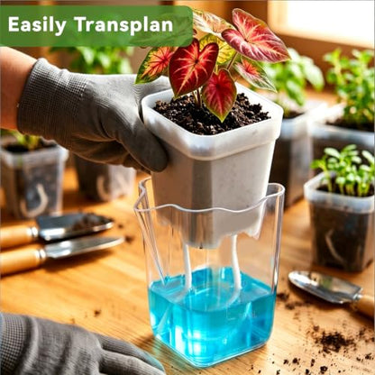 20 Pack 2 Inch Small Self Watering Pots for Indoor Plants - size: 2in