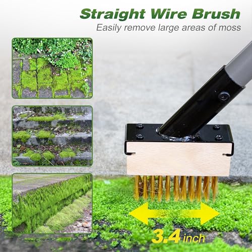 Walensee 66.5in Adjustable 3-in-1 Crack Weeder & Moss Remover Brush Tool