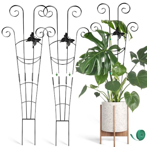 Coomin 32.6in Monstera Plant Support Trellis with One Butterfly, 2P - size: 32in,butterfly/2p