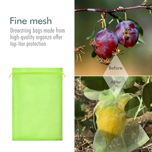 Fruit Protection Bags, Fetanten 6x8 in Mesh Drawstring Bag for Fruit Trees - size: 6 x 8 Inch 100pcs