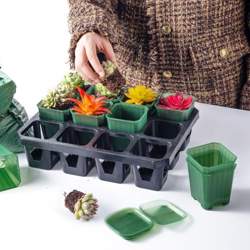 30Pcs 3 Inch Transparent Green Nursery Pots with Saucers, Square Plant Pot - color: Transparent Green