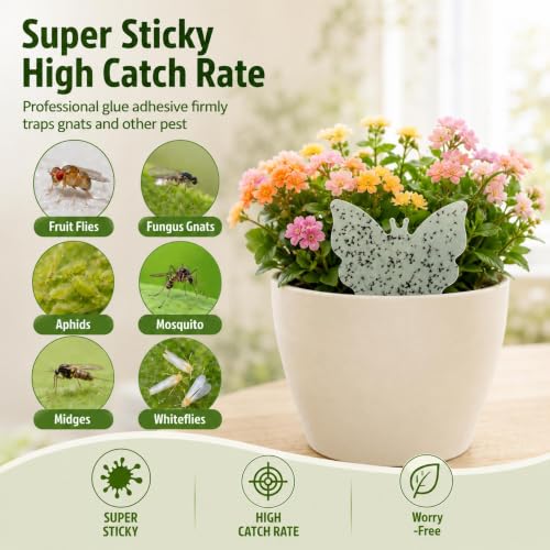 100 Pack Gnat Traps, Double Sided Plant Sticky Traps for Indoor Bug, Clear - color: Clear