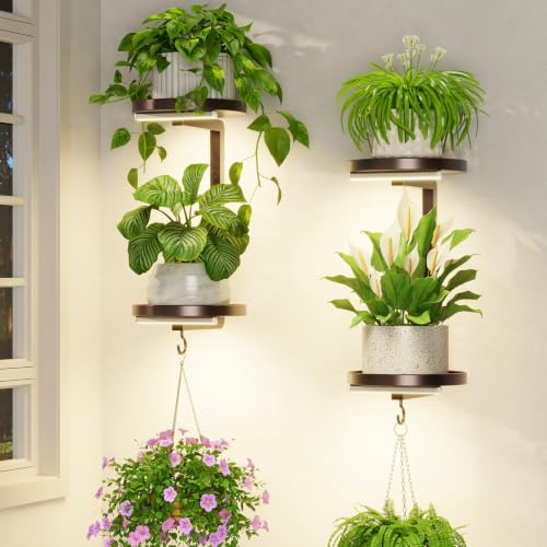 LASZOLA Plant Hanger Holder Shelf Wall Indoor with Lights, 2 Pcs Bronze - color: Classic Brown, size: 2