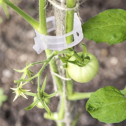 Tomato Support Hooks with Tomato Clips, Tomato Hooks with String- 30pcs - size: 33.3ft-10ps