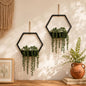 2 Pack Fake Hanging Plants for Room Decor Black Hexagon