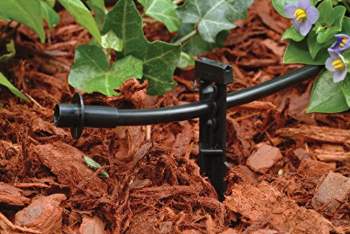 Rain Bird TS25/10PS Drip Stake, 1/4", 10-Pack