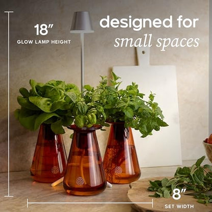 Lettuce Grow Counterstand | Hydroponic Kit with LED Grow Light | Compact - size: with Glow Lamp